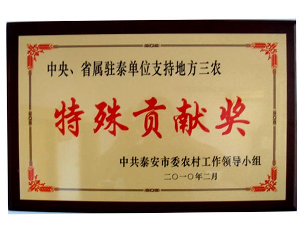 特殊貢獻獎